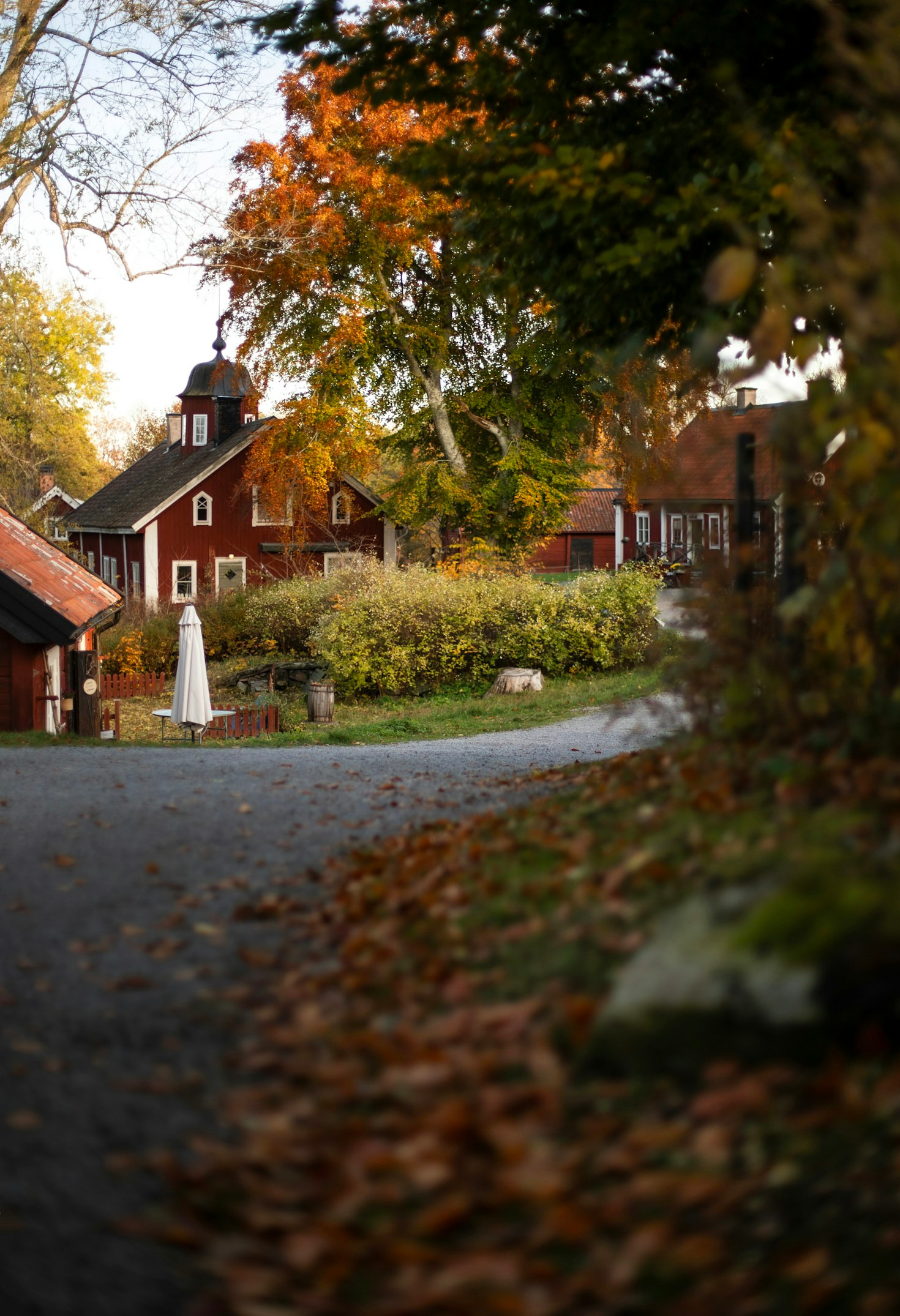 Hur Gäsjö firar sina traditionella fester